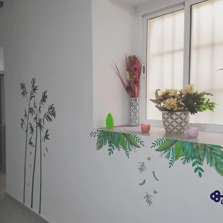 Cadiz Rooms 홈스테이 *